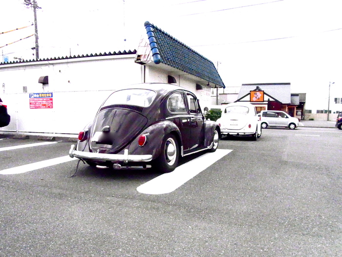 Day Off_d0179518_1710398.jpg