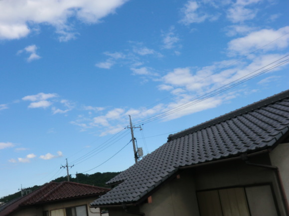 b0163121_20332511.jpg