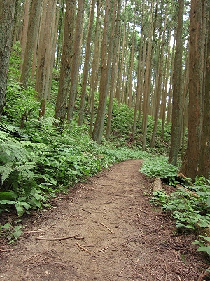 a0172222_21491871.jpg
