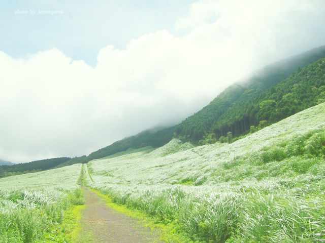 e0242525_1919497.jpg