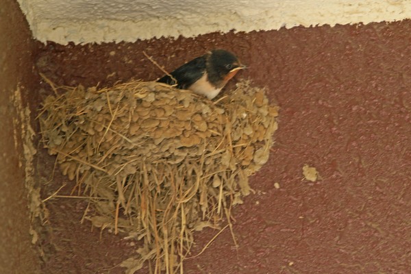 c0104227_2158099.jpg