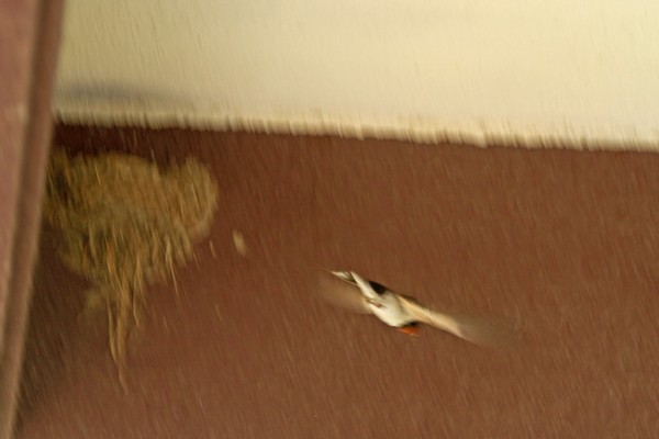 c0104227_2205113.jpg