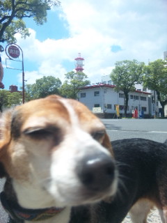 e0119327_12141323.jpg