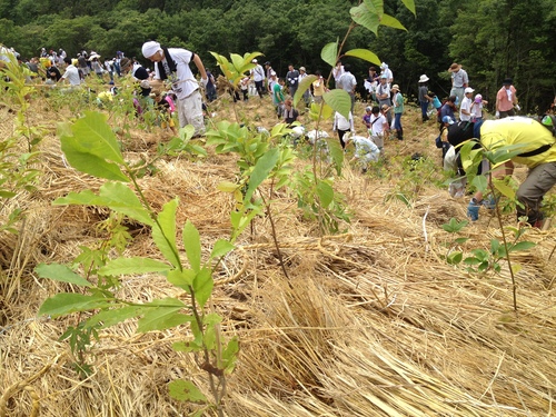 バローの「いのちの森づくり」プロジェクト!_b0146633_23321154.jpg