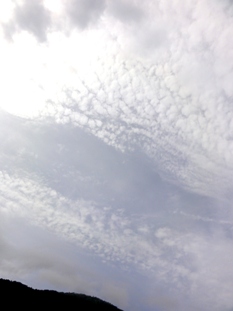 d0235336_221691.jpg