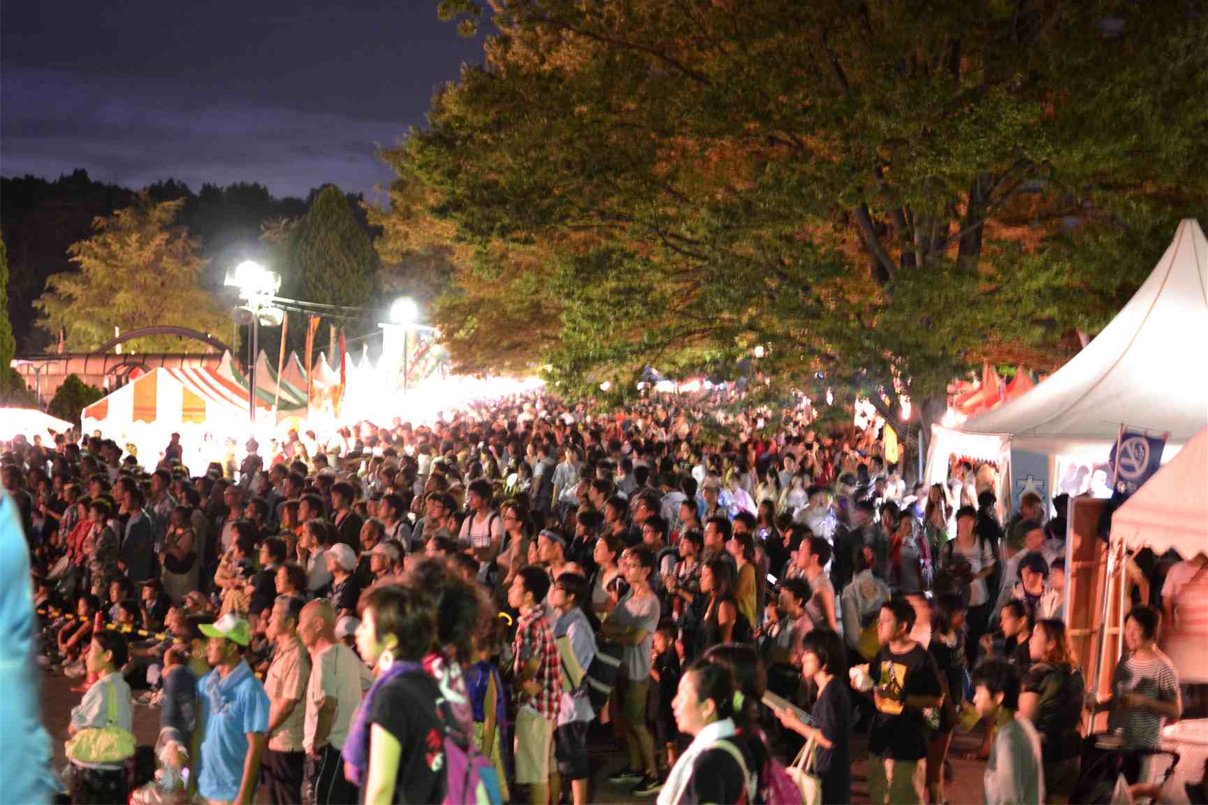 光が丘よさこい祭り Taz Tokyo Blog