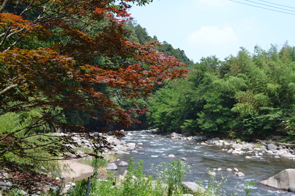 瀧不動尊大福寺　2012ニッコウキスゲ_e0228938_1739617.jpg