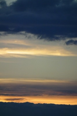 f0029038_233517.jpg