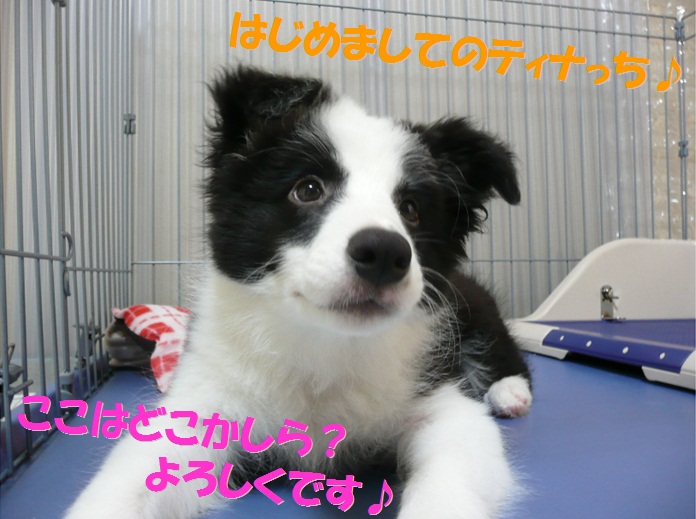 c0147241_15115349.jpg