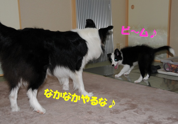 c0147241_15121715.jpg