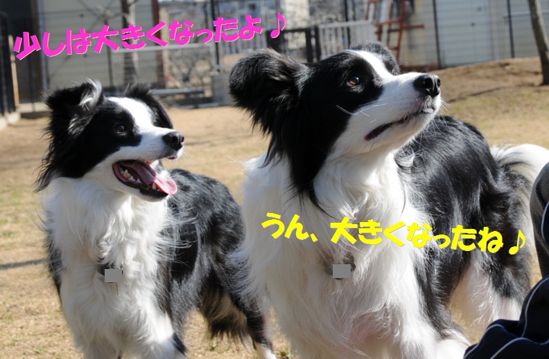 c0147241_15123011.jpg