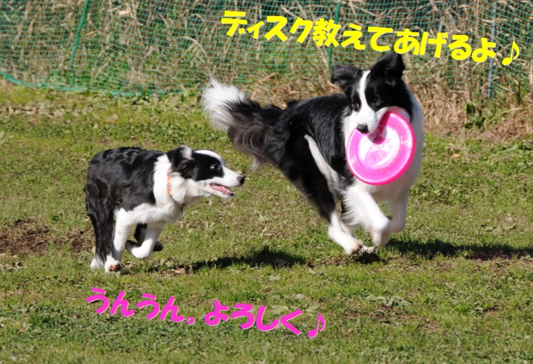 c0147241_15123668.jpg