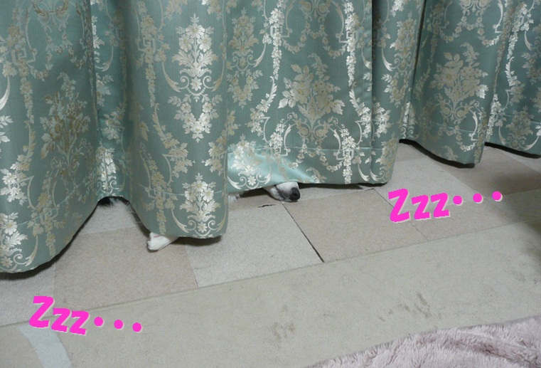 c0147241_1513434.jpg