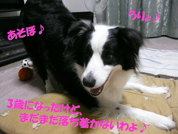c0147241_15135094.jpg