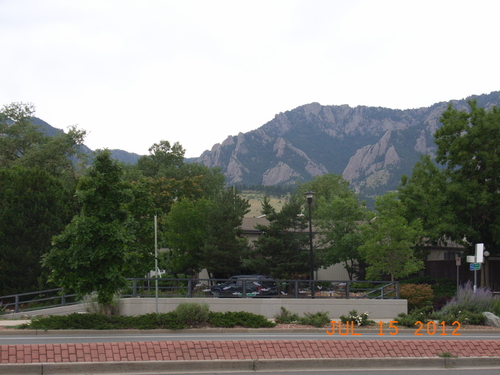 e0194142_53428.jpg