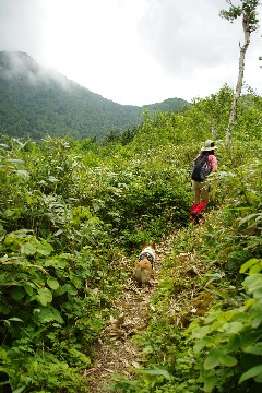 富良野西岳_f0045846_9102656.jpg