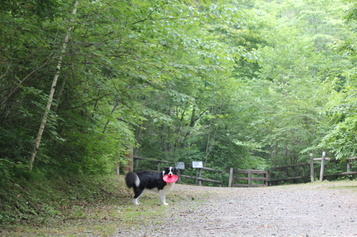 b0245048_132547.jpg