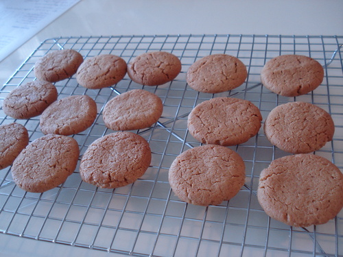 松之助N.Y.＠代官山　7月レッスン　Graham cracker & Peanut butter cookies _b0237753_1884572.jpg