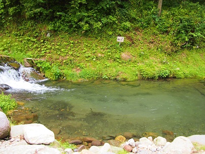 c0124054_2272280.jpg