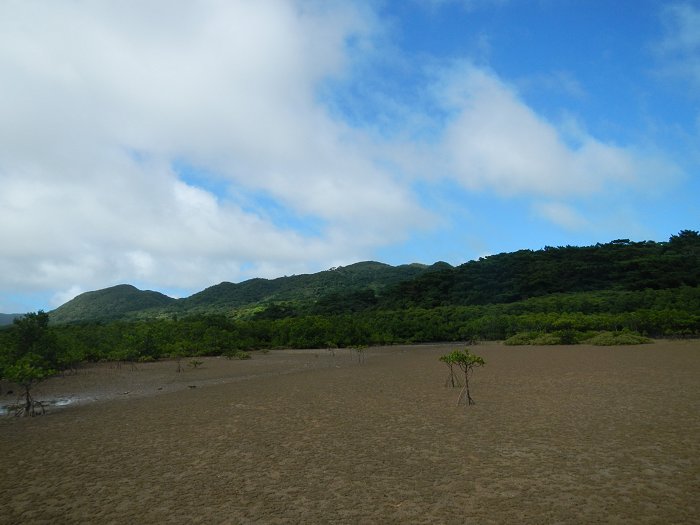 八重山2012夏～【２日目②】リバーフィッシング_c0196754_22172095.jpg