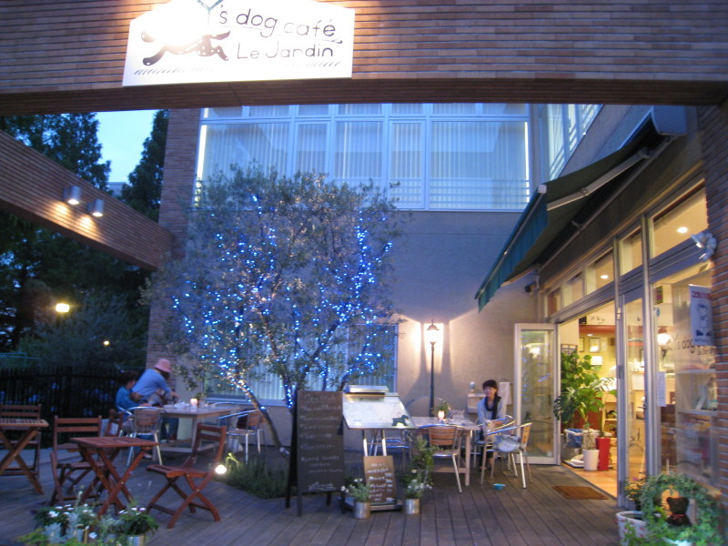 Y\'s dog cafe_c0238354_1053329.jpg