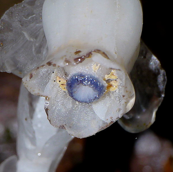d0091754_45416.jpg