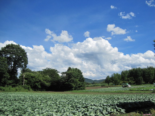 f0236260_2151080.jpg