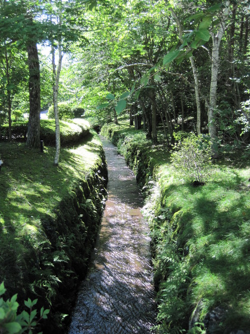 f0236260_21554146.jpg