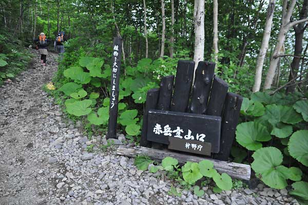 ２０１２北海道ロード２日目・その１～花の大雪山_c0043361_042780.jpg