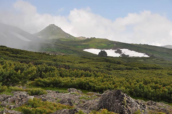 ２０１２北海道ロード２日目・その１～花の大雪山_c0043361_1174973.jpg