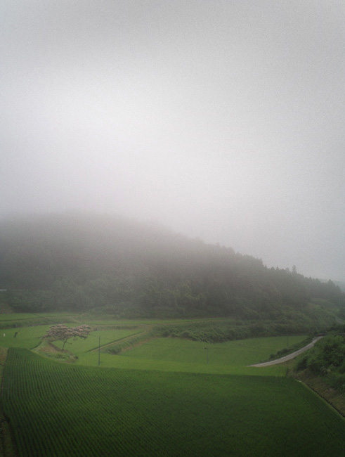 田舎の朝_d0231263_23485393.jpg