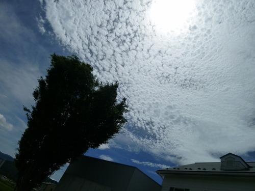 b0125570_10112323.jpg