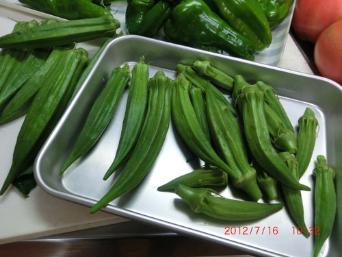 夏野菜は今が盛り　②猪肉の試食会に参加しました。　_d0007071_21405858.jpg