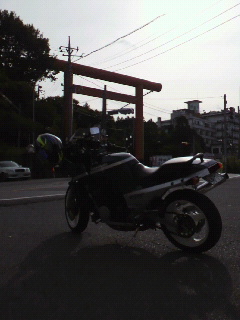 e0046771_93268.jpg