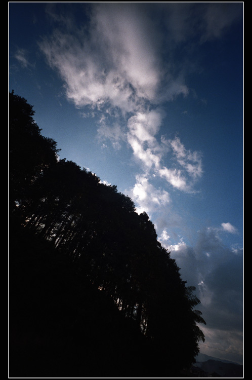 c0168172_22834.jpg