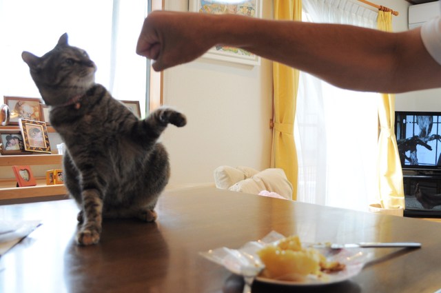 その日のうちに_a0126590_101629.jpg