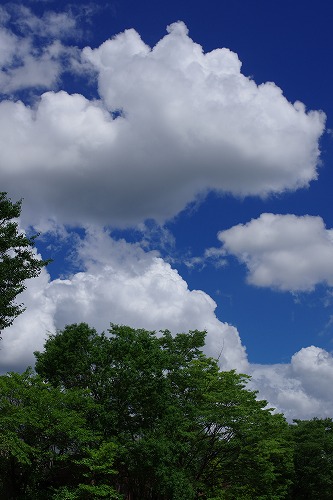 b0119493_23335424.jpg