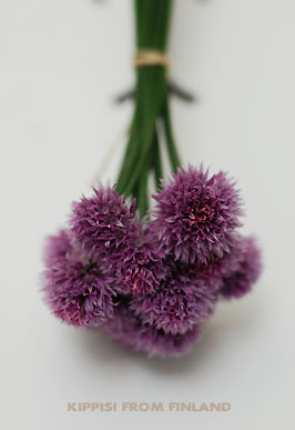 便利な野菜 チャイブ Kippis From Finland 便利な野菜 チャイブ Kippis From Finland