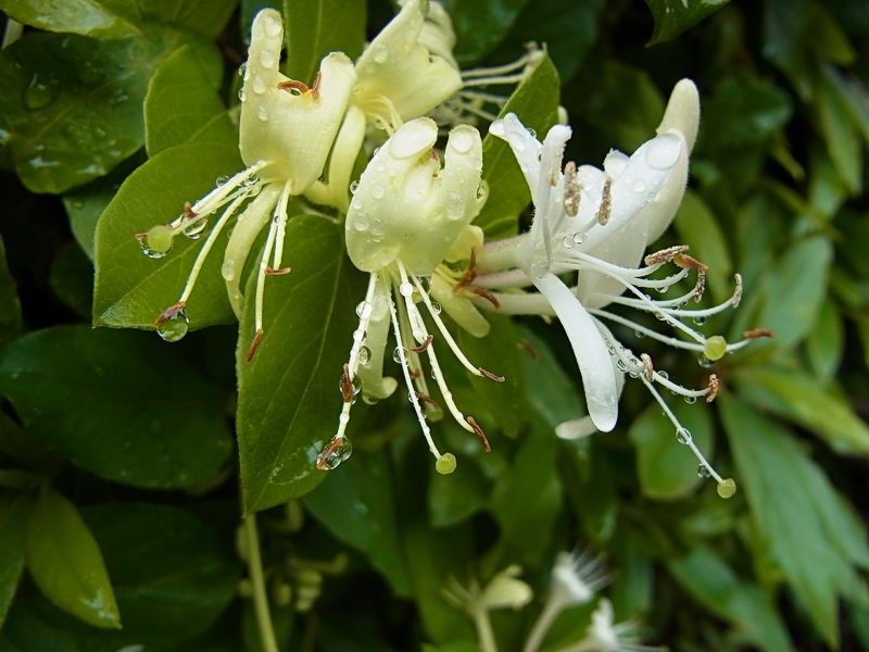 f0204094_1253913.jpg