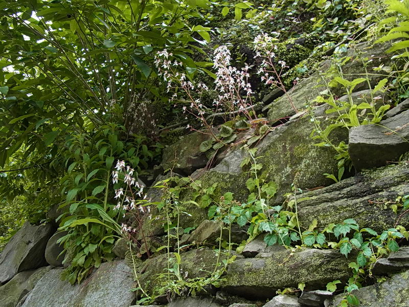 f0204094_1325041.jpg