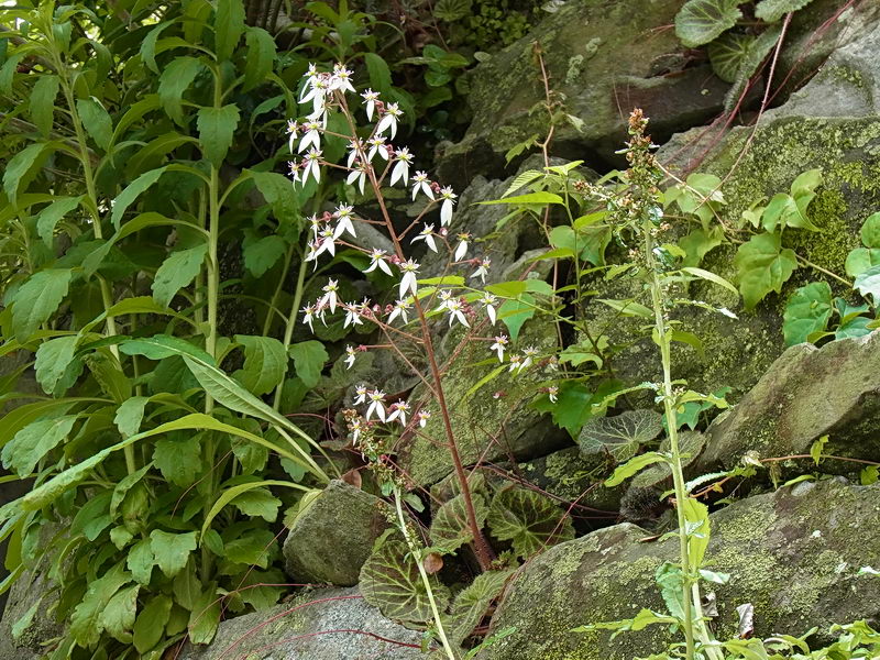 f0204094_133664.jpg
