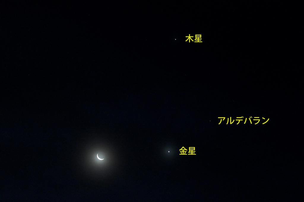 カワセミ若鳥のバトル/今朝早朝の天体ショー/今朝の富士山_b0024798_103327.jpg