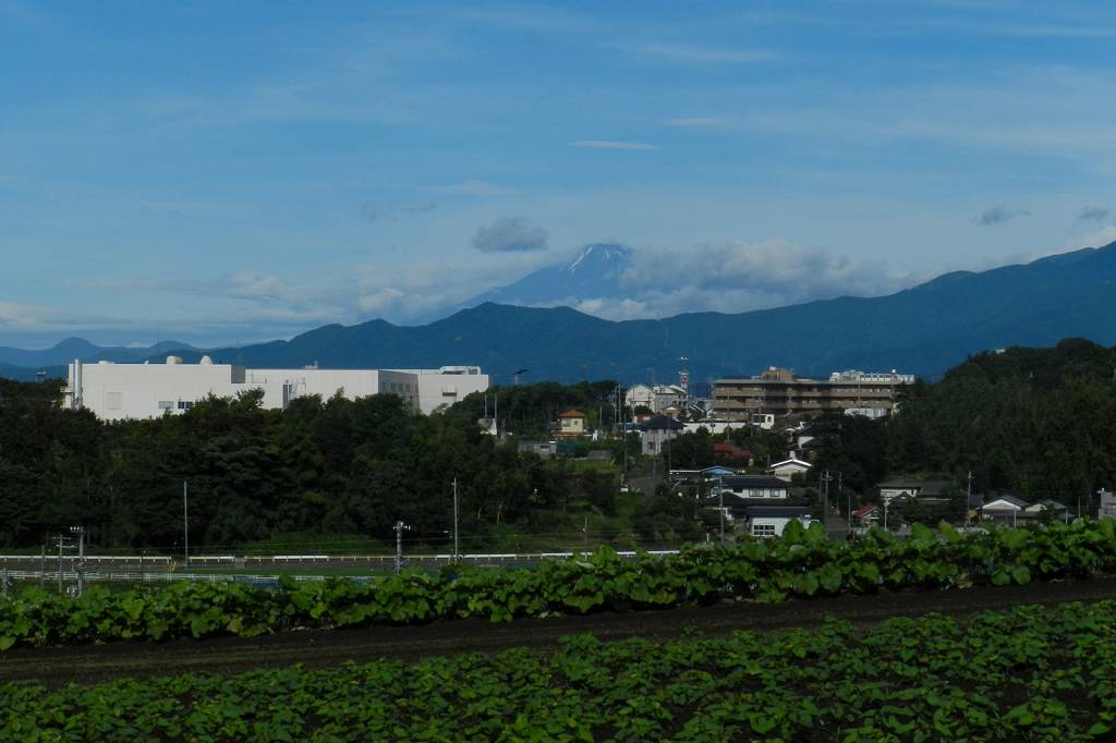 カワセミ若鳥のバトル/今朝早朝の天体ショー/今朝の富士山_b0024798_104126.jpg