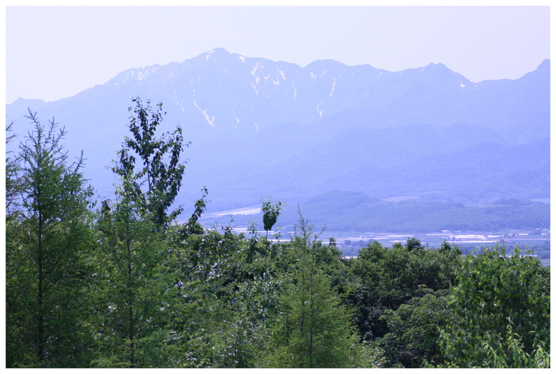 d0248502_5201260.jpg