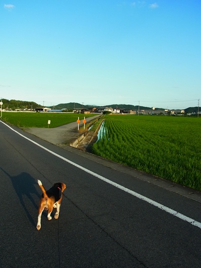 c0205806_2332657.jpg