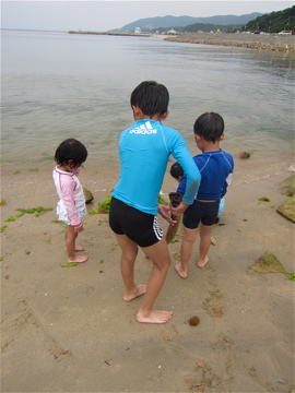 c0145209_8155111.jpg