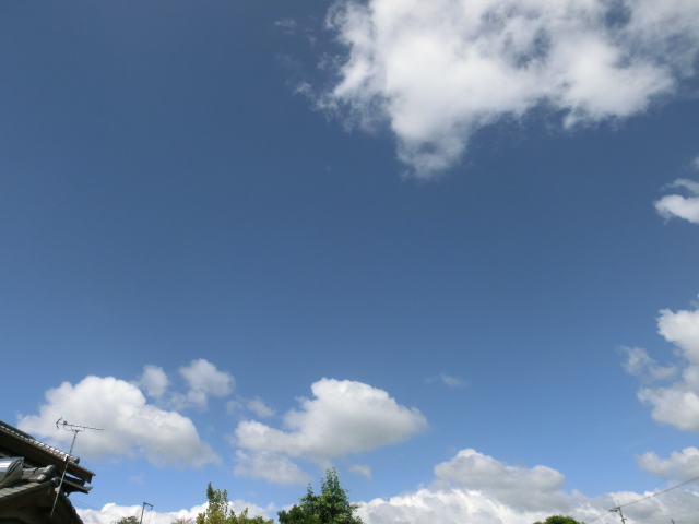 d0237309_2228783.jpg