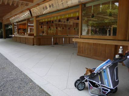 犬とお出かけ 名古屋編 Nutsbon