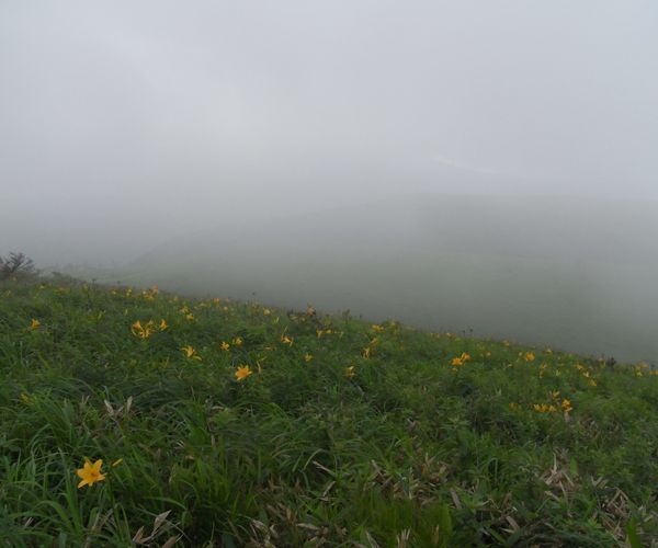 f0006510_20461946.jpg