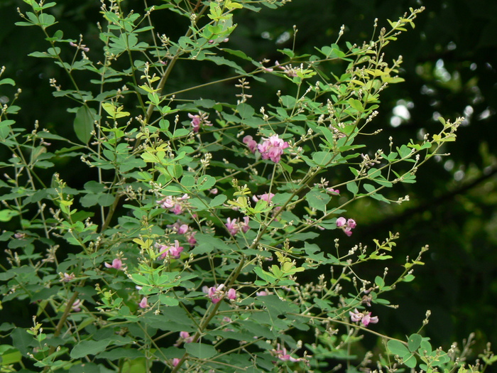 f0219710_7474829.jpg